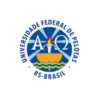 Imagem 9